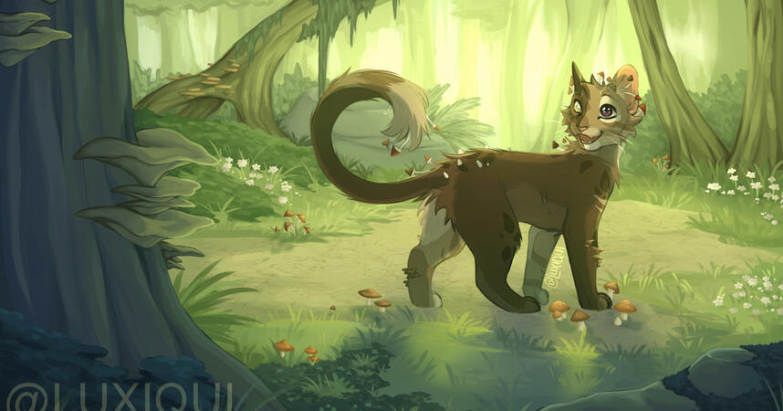 Banner/header Banner/header